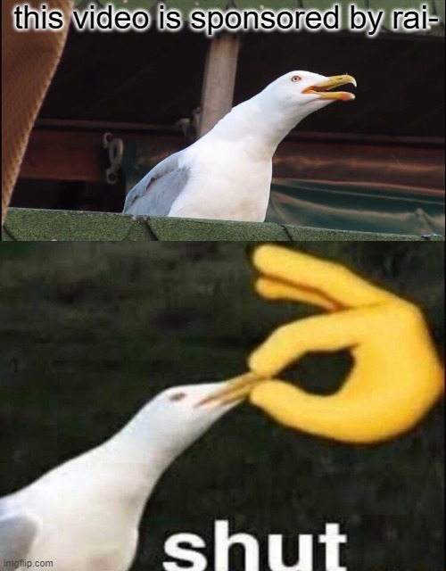 be like this tho | this video is sponsored by rai- | image tagged in memes,inhaling seagull,shut,raid shadow legends | made w/ Imgflip meme maker