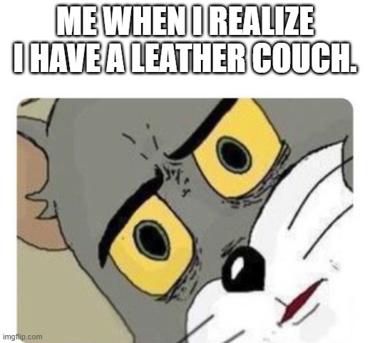 Thank god It's only one. | ME WHEN I REALIZE I HAVE A LEATHER COUCH. | image tagged in shocked tom | made w/ Imgflip meme maker