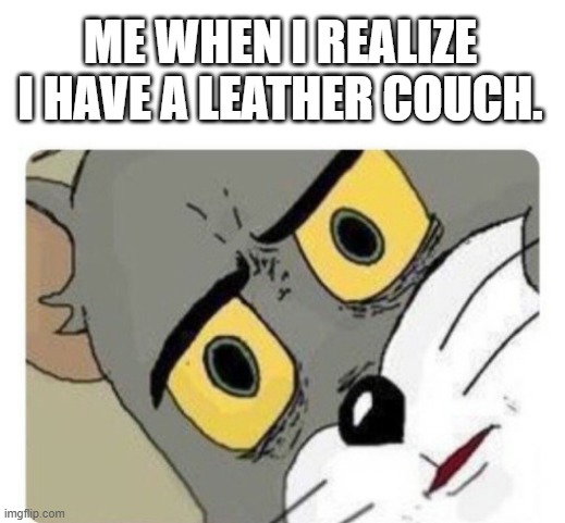 Cows are awesome | ME WHEN I REALIZE I HAVE A LEATHER COUCH. | image tagged in shocked tom | made w/ Imgflip meme maker