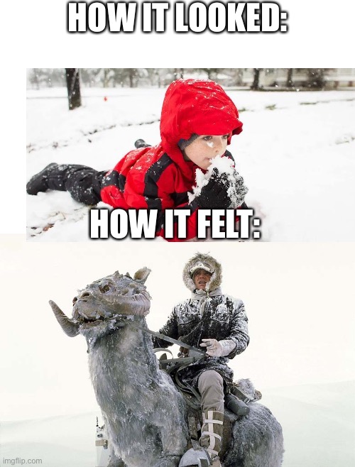 is this true, i think it is lol | HOW IT LOOKED:; HOW IT FELT: | image tagged in han solo hoth snow | made w/ Imgflip meme maker