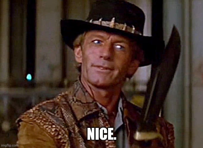 Crocodile Dundee Knife | NICE. | image tagged in crocodile dundee knife | made w/ Imgflip meme maker