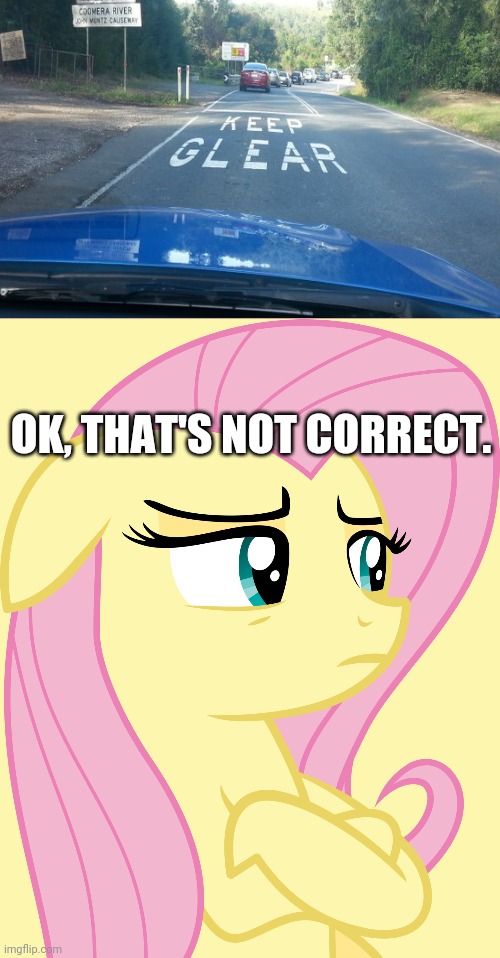 Glear?! | OK, THAT'S NOT CORRECT. | image tagged in suspicious fluttershy mlp,you had one job,funny,task failed successfully,memes | made w/ Imgflip meme maker