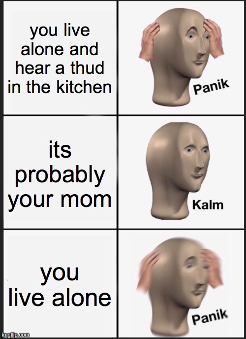 Panik Kalm Panik Meme | you live alone and hear a thud in the kitchen; its probably your mom; you live alone | image tagged in memes,panik kalm panik | made w/ Imgflip meme maker