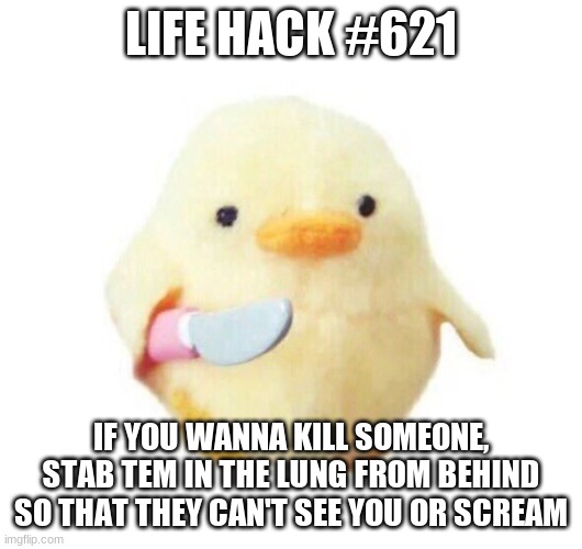 Life Hack | LIFE HACK #621; IF YOU WANNA KILL SOMEONE, STAB TEM IN THE LUNG FROM BEHIND SO THAT THEY CAN'T SEE YOU OR SCREAM | image tagged in duck with knife | made w/ Imgflip meme maker