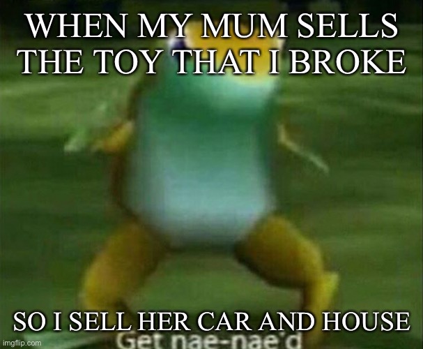 Get nae-nae'd | WHEN MY MUM SELLS THE TOY THAT I BROKE; SO I SELL HER CAR AND HOUSE | image tagged in get nae-nae'd | made w/ Imgflip meme maker