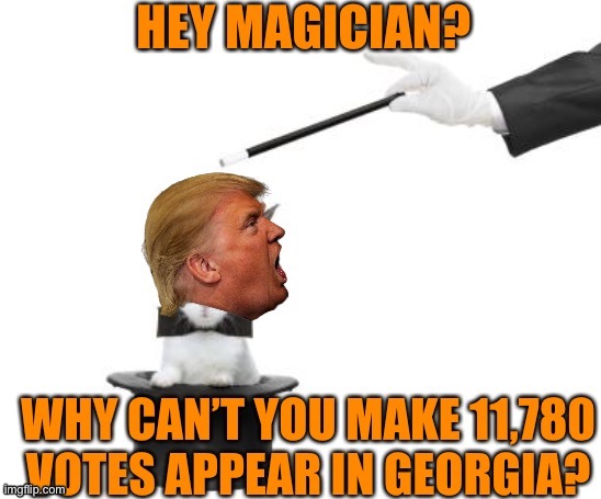 Abra kadabra and poof! | image tagged in donald trump,magic,maga,losers,voter fraud,joe biden | made w/ Imgflip meme maker