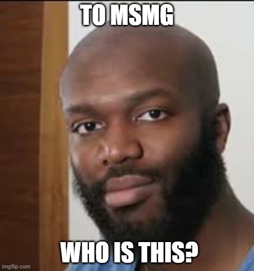 lmao | TO MSMG; WHO IS THIS? | image tagged in funny,bald | made w/ Imgflip meme maker