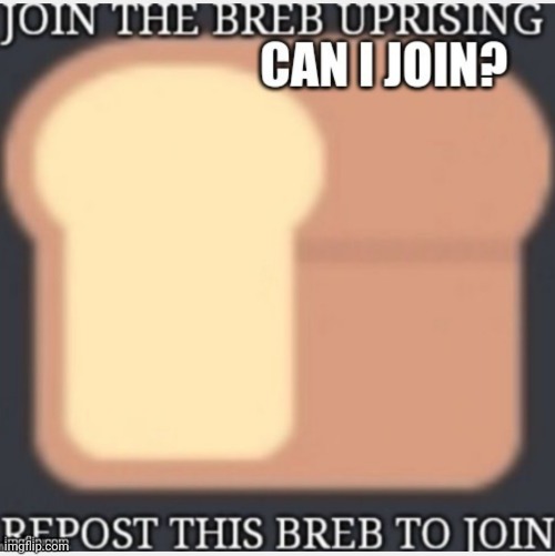 BREB | image tagged in bread | made w/ Imgflip meme maker