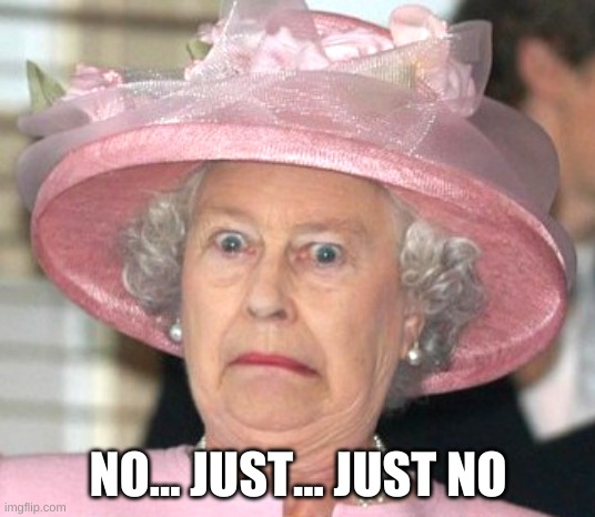 the Queen Elizabeth II | NO... JUST... JUST NO | image tagged in the queen elizabeth ii | made w/ Imgflip meme maker