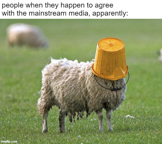 sheple | people when they happen to agree with the mainstream media, apparently: | image tagged in stupid sheep | made w/ Imgflip meme maker