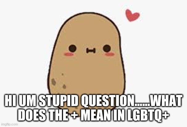 im sorry i just rlly want to know | HI UM STUPID QUESTION......WHAT DOES THE + MEAN IN LGBTQ+ | made w/ Imgflip meme maker