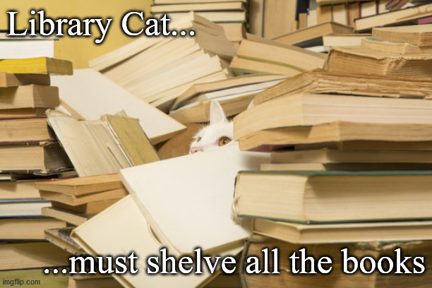 Library Cat in Books | Library Cat... ...must shelve all the books | image tagged in cat,library,books | made w/ Imgflip meme maker