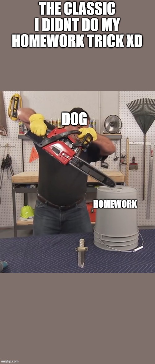 the classic XD | THE CLASSIC I DIDNT DO MY HOMEWORK TRICK XD; DOG; HOMEWORK | image tagged in that s a lot of damage | made w/ Imgflip meme maker