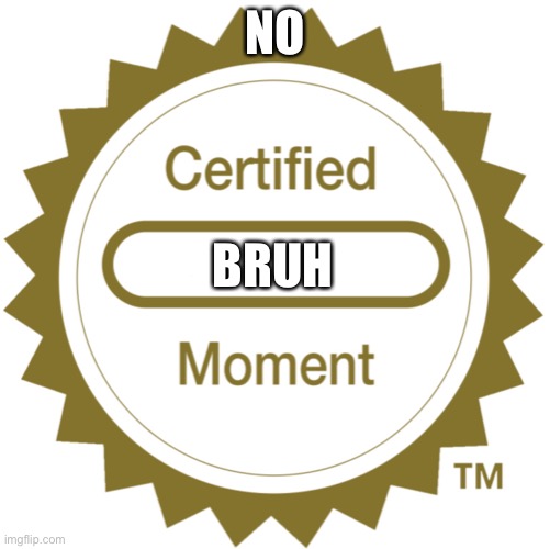 Certified Moment | NO BRUH | image tagged in certified moment | made w/ Imgflip meme maker