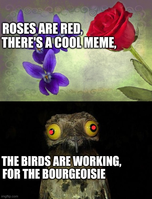 ROSES ARE RED,              
THERE'S A COOL MEME, THE BIRDS ARE WORKING,
FOR THE BOURGEOISIE | image tagged in roses are many colors other than red violets are fricken violet,memes,weird stuff i do potoo,birds | made w/ Imgflip meme maker