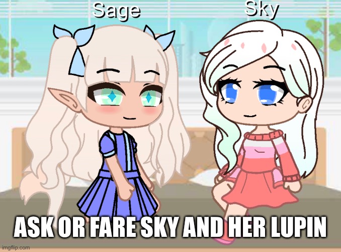 More of the Lupin species | ASK OR FARE SKY AND HER LUPIN | made w/ Imgflip meme maker