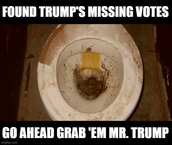 Trump is a Lying Sack of Shit Who is Completely Full of Shit | FOUND TRUMP'S MISSING VOTES; GO AHEAD GRAB 'EM MR. TRUMP | image tagged in you lost the election loser,roll your shit into little balls,eat those little ball of shit | made w/ Imgflip meme maker
