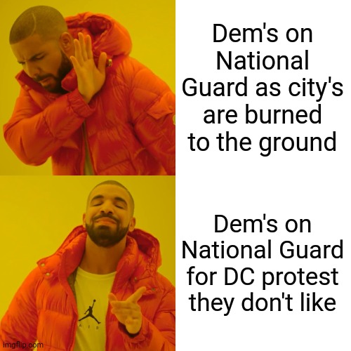 funny | Dem's on National Guard as city's are burned to the ground; Dem's on National Guard for DC protest they don't like | image tagged in memes,drake hotline bling,protesters,liberals,democrat,donald trump | made w/ Imgflip meme maker