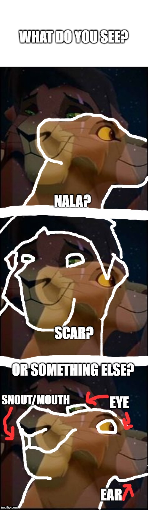 What do you see? | WHAT DO YOU SEE? | image tagged in lion king | made w/ Imgflip meme maker