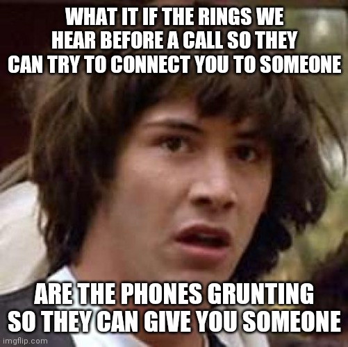 I would be grunting if I have to pull out someone from whatever they doing | WHAT IT IF THE RINGS WE HEAR BEFORE A CALL SO THEY CAN TRY TO CONNECT YOU TO SOMEONE; ARE THE PHONES GRUNTING SO THEY CAN GIVE YOU SOMEONE | image tagged in memes,conspiracy keanu | made w/ Imgflip meme maker