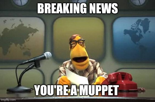 You're a Muppet | BREAKING NEWS; YOU'RE A MUPPET | image tagged in muppet news flash | made w/ Imgflip meme maker