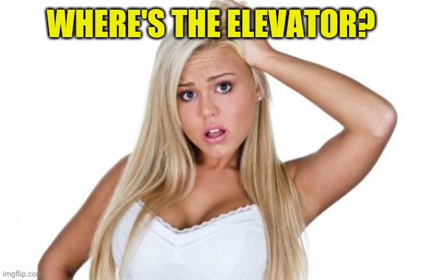 Dumb Blonde | WHERE'S THE ELEVATOR? | image tagged in dumb blonde | made w/ Imgflip meme maker