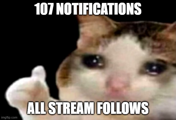 I've actually been getting a LOT of stream follows | 107 NOTIFICATIONS; ALL STREAM FOLLOWS | image tagged in sad cat thumbs up | made w/ Imgflip meme maker