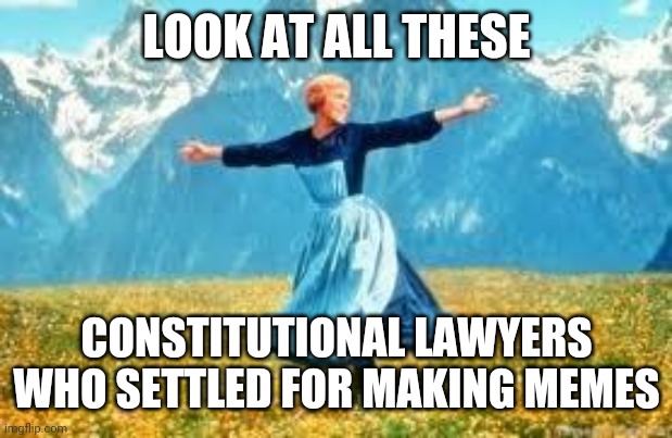 Politics and stuff | LOOK AT ALL THESE; CONSTITUTIONAL LAWYERS WHO SETTLED FOR MAKING MEMES | image tagged in memes,look at all these | made w/ Imgflip meme maker