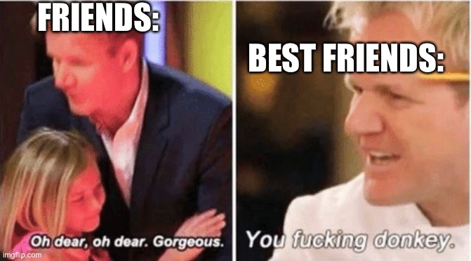 Yes I made an actual meme | FRIENDS:; BEST FRIENDS: | image tagged in gordon ramsey talking to kids vs talking to adults | made w/ Imgflip meme maker