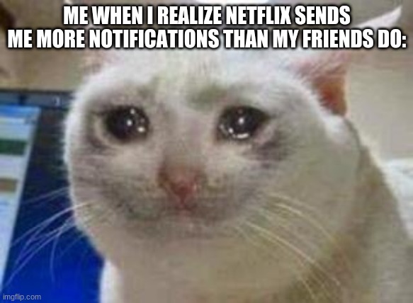 They never talk to meh. | ME WHEN I REALIZE NETFLIX SENDS ME MORE NOTIFICATIONS THAN MY FRIENDS DO: | image tagged in sad cat | made w/ Imgflip meme maker
