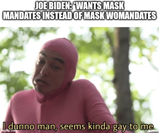 Can I get an "awoman"? | JOE BIDEN: *WANTS MASK MANDATES INSTEAD OF MASK WOMANDATES | image tagged in i dunno man seems kinda gay to me | made w/ Imgflip meme maker