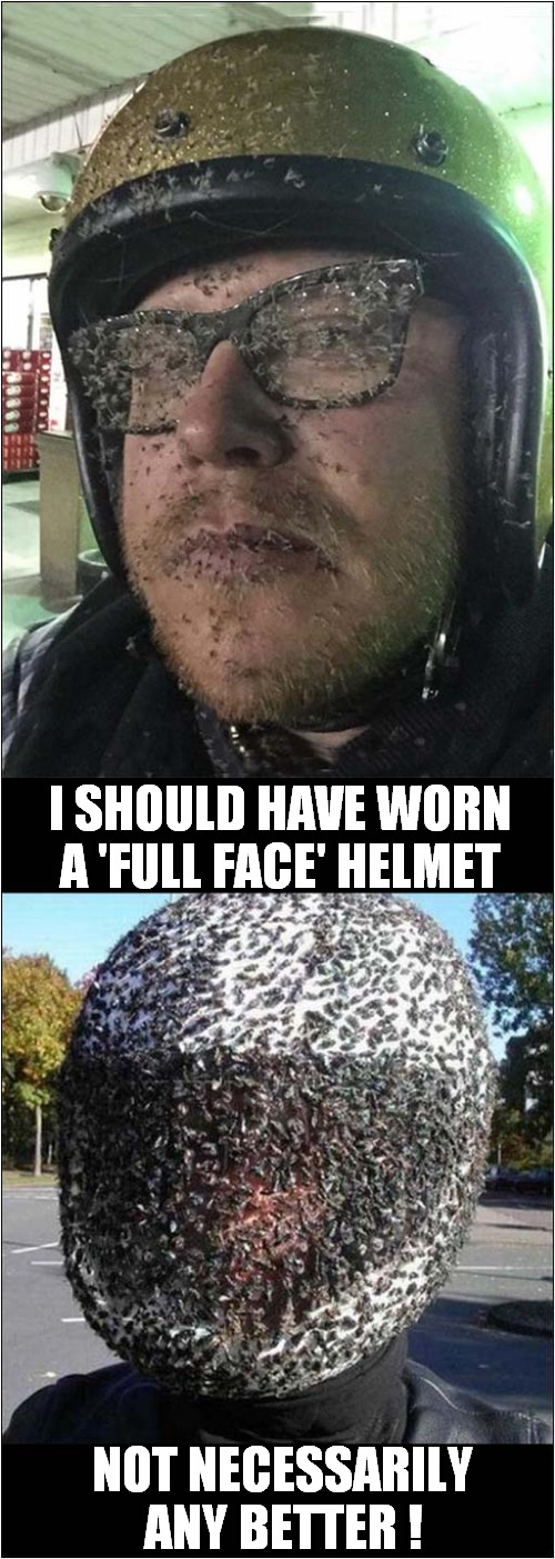 Motorcyclists Vs Insects ! | I SHOULD HAVE WORN A 'FULL FACE' HELMET; NOT NECESSARILY ANY BETTER ! | image tagged in fun,helmet,insects,vision | made w/ Imgflip meme maker