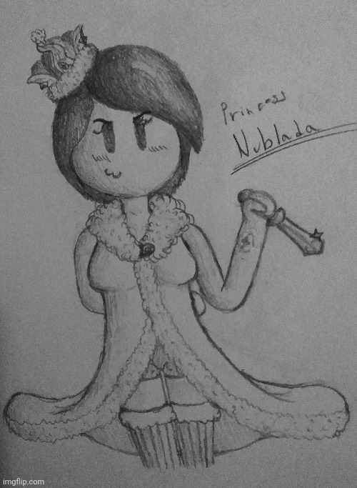New OC. Hope you like her, she took awhile to draw but I'm not too happy with her hair or cape. | image tagged in prince vince,princess nublada,yes her name is spanish xd,she is the princess of the dream kingdom fyi | made w/ Imgflip meme maker