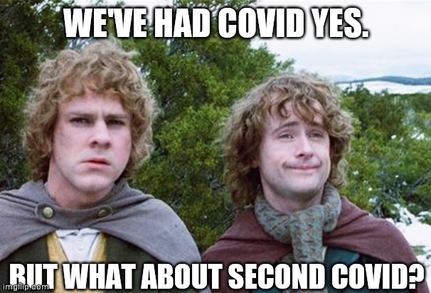 Second Covid | WE'VE HAD COVID YES. BUT WHAT ABOUT SECOND COVID? | image tagged in second breakfast | made w/ Imgflip meme maker