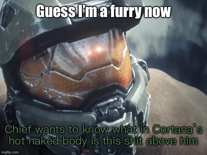 Chief wants to know | Guess I’m a furry now | image tagged in chief wants to know | made w/ Imgflip meme maker