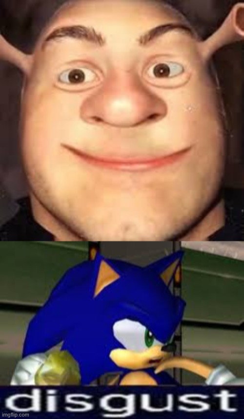image tagged in sonic disgust | made w/ Imgflip meme maker
