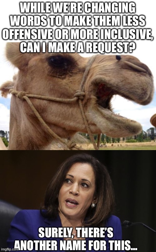 Camela | WHILE WE’RE CHANGING WORDS TO MAKE THEM LESS OFFENSIVE OR MORE INCLUSIVE,
CAN I MAKE A REQUEST? SURELY, THERE’S ANOTHER NAME FOR THIS... | image tagged in kamala harris | made w/ Imgflip meme maker