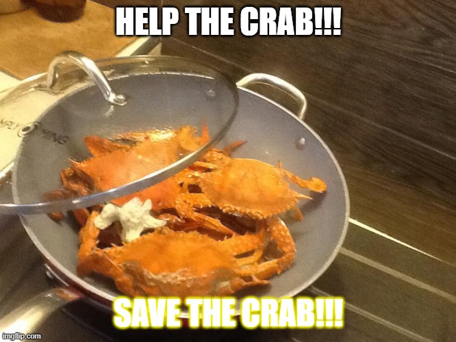 Press F to Crabs (2 points) | HELP THE CRAB!!! SAVE THE CRAB!!! | image tagged in crab rave,crab,cooking | made w/ Imgflip meme maker