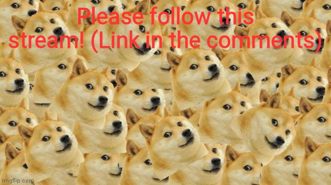Heehehehehhehehhahahahh :/:/:/ | Please follow this stream! (Link in the comments) | image tagged in memes,multi doge | made w/ Imgflip meme maker