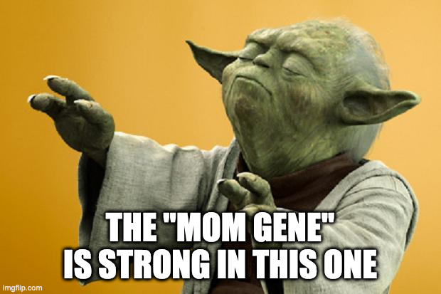 Yoda Bass Strong | THE "MOM GENE"
IS STRONG IN THIS ONE | image tagged in yoda bass strong | made w/ Imgflip meme maker