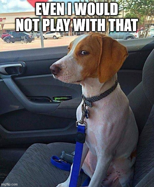 car dog | EVEN I WOULD NOT PLAY WITH THAT | image tagged in car dog | made w/ Imgflip meme maker