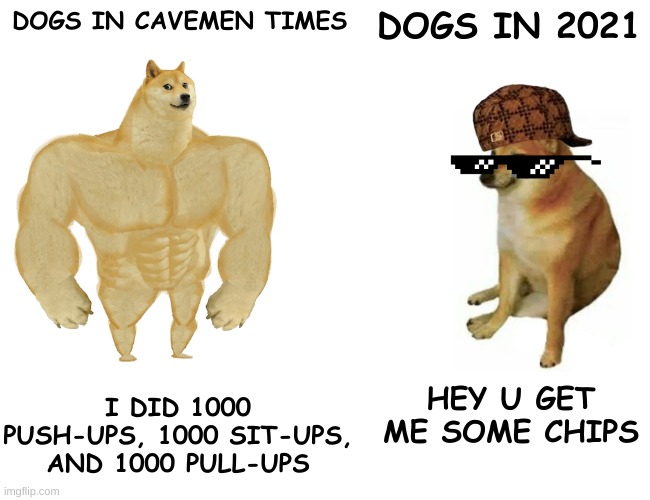 Buff Doge vs. Cheems | DOGS IN CAVEMEN TIMES; DOGS IN 2021; I DID 1000 PUSH-UPS, 1000 SIT-UPS, AND 1000 PULL-UPS; HEY U GET ME SOME CHIPS | image tagged in memes,buff doge vs cheems | made w/ Imgflip meme maker