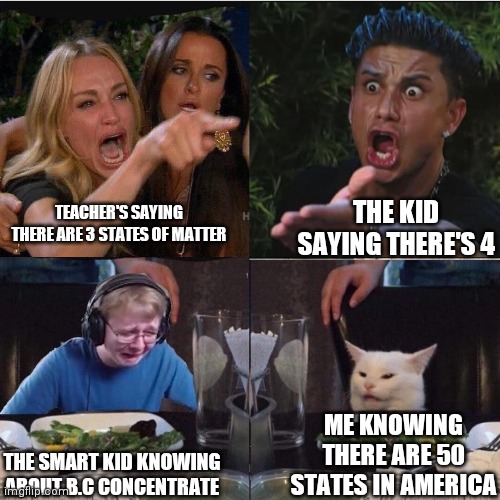 States of matter | THE KID SAYING THERE'S 4; TEACHER'S SAYING THERE ARE 3 STATES OF MATTER; ME KNOWING THERE ARE 50 STATES IN AMERICA; THE SMART KID KNOWING ABOUT B.C CONCENTRATE | image tagged in four panel taylor armstrong pauly d callmecarson cat | made w/ Imgflip meme maker