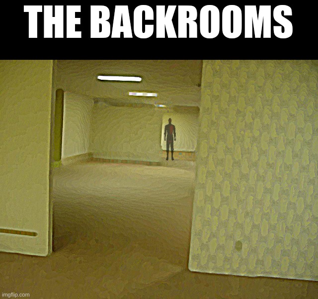 the backrooms | THE BACKROOMS | image tagged in the backrooms | made w/ Imgflip meme maker