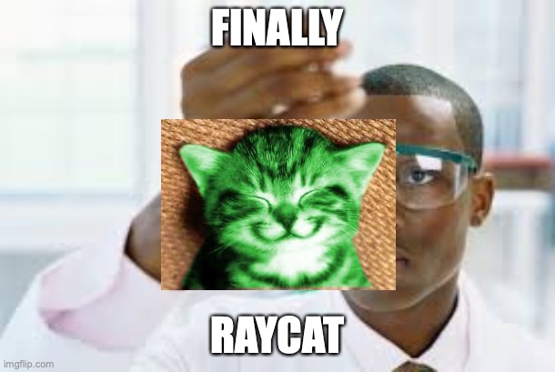 Finally | FINALLY; RAYCAT | image tagged in finally,cats,raydog,black scientist finally xium,memes | made w/ Imgflip meme maker