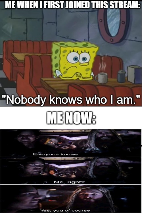 Most people know me by now, not trying to be a narcissist or anything | ME WHEN I FIRST JOINED THIS STREAM:; "Nobody knows who I am."; ME NOW: | image tagged in blank white template,darmug | made w/ Imgflip meme maker