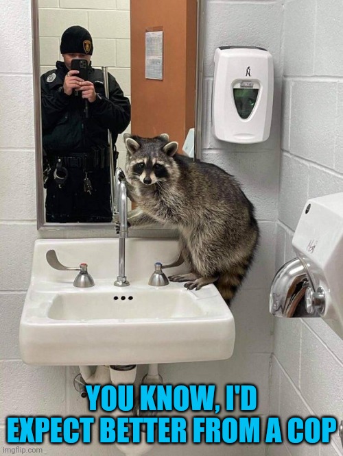 Even hand washing needs privacy | YOU KNOW, I'D EXPECT BETTER FROM A COP | image tagged in all,raccoon,washing hands | made w/ Imgflip meme maker