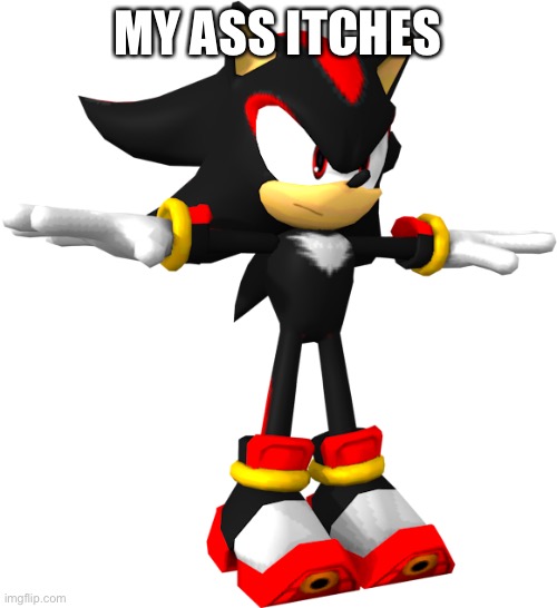 shadow the hedgehog t pose | MY ASS ITCHES | image tagged in shadow the hedgehog t pose | made w/ Imgflip meme maker