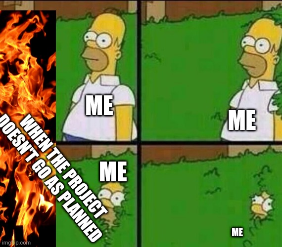Project failed | ME; ME; WHEN THE PROJECT DOESN'T GO AS PLANNED; ME; ME | image tagged in homer simpson in bush - large,project,fail | made w/ Imgflip meme maker