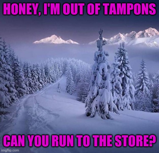 Moral dilemma | HONEY, I'M OUT OF TAMPONS; CAN YOU RUN TO THE STORE? | image tagged in memes | made w/ Imgflip meme maker